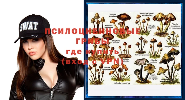 гидропоника Краснослободск
