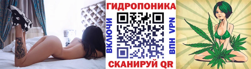 продажа наркотиков  Лодейное Поле  OMG сайт  Конопля Bruce Banner 